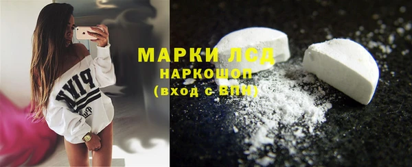 ешки Бородино