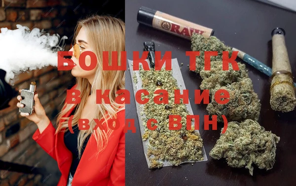 ешки Бородино