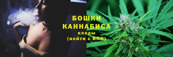 ешки Бородино