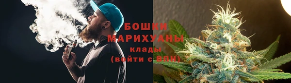 ешки Бородино