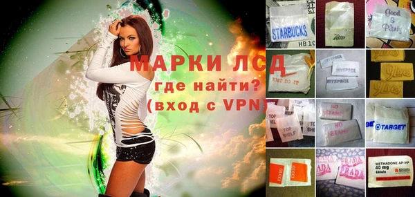 ешки Бородино