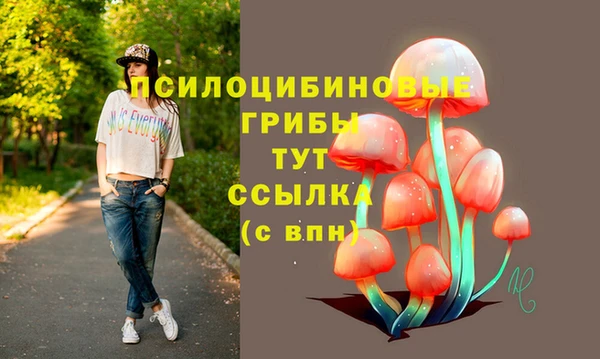 герыч Бугульма